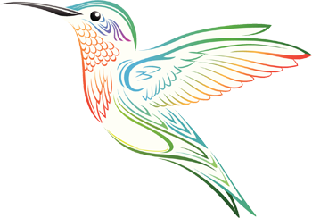 hummingbird-transparent-350px